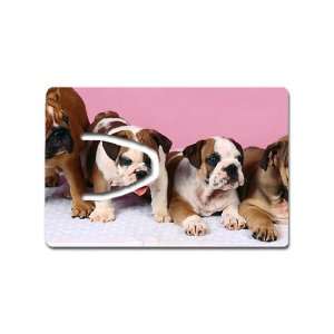  Cute English bulldog puppies Bookmark Great Unique Gift 