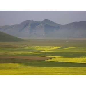  Lentil Fields, Highland of Castelluccio Di Norcia, Norcia 