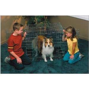 Midwest Life Stages 30 by 21 by 24 Inch Triple Door Folding Metal Dog 