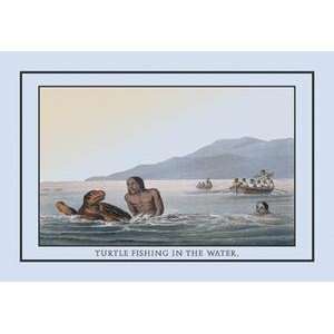  Vintage Art Turtle Fishing In The Water   12422 9
