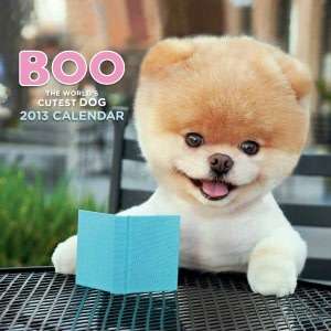   Boo The Life of the Worlds Cutest Dog by J. H. Lee 