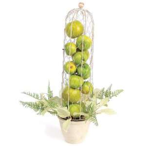   Potted Artificial Green Apple Cloche Decorations 19.5