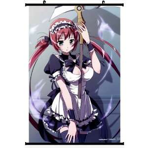   Wall Scroll Poster Airi (16*24)support Customized