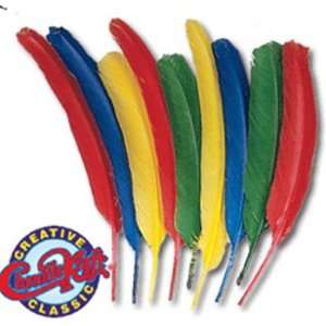  14 Pack CHENILLE KRAFT COMPANY FEATHERS BRIGHT HUES 1 OZ 