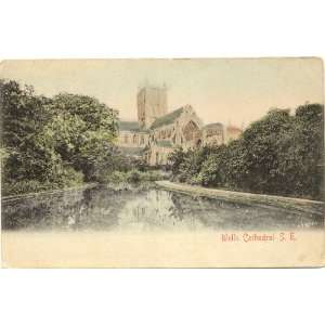   Vintage Postcard Wells Cathedral Wells England UK 