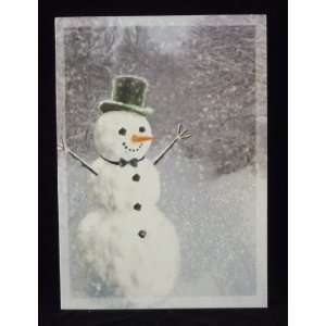  Well Dressed Snowman Holiday Christmas Cards, 16 Cards 