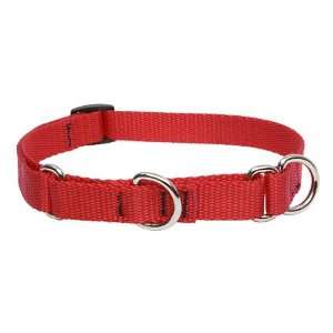  3/4 Red 14 20 Combo Collar