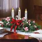 Cordless Lighted Holiday Centerpiece  