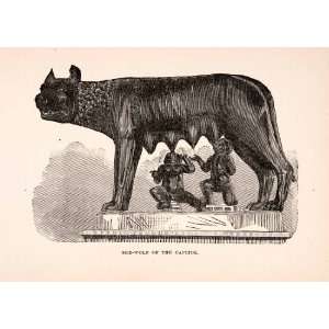  1896 Wood Engraving She wolf Capitol Rome Italy Statue 