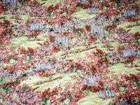 Acadia floral cotton flannel craft quilt fabric 2 yd  