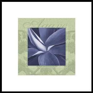  Agave by Dennis Dunton   Framed Artwork