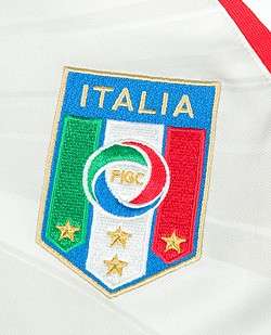   100% Original Puma s ITALY short sleeve TRAINING jersey for WC 2010