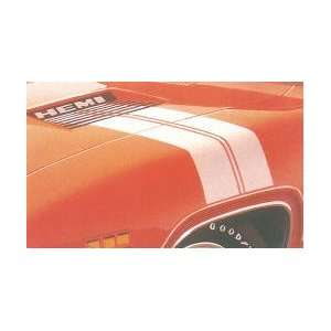 1972 RR Roof Strobe Stripe Kit (w/4 Birds & Blank Hood Bezel #s (f 