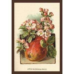  Vintage Art Apple Blossom & Fruit   17640 7