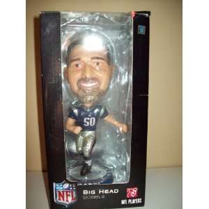    Forever Collectibles NFL Bigheads   Mike Vrabel