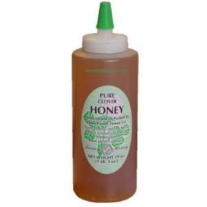 Laney Pure Clover Honey in Jumbo Bottle, 19 fl oz  Grocery 