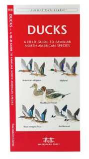   Animal Tracks by James Kavanagh, Waterford Press Ltd 