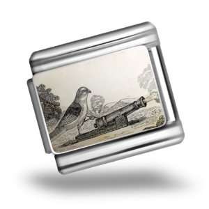  Italian Charms Original Photo bird cannon Bracelet Link 