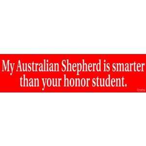  Smart Australian Shepherd Automotive