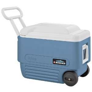   Academy Sports Igloo MaxCold 40 qt. Roller Cooler