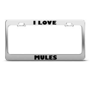 Love Mules Mule Animal license plate frame Stainless Metal Tag 