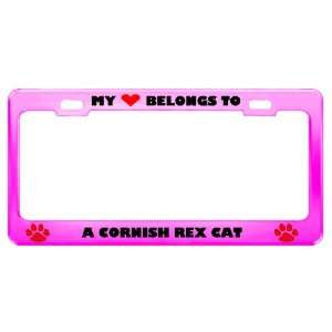 Cornish Rex Cat Pet Pink Metal License Plate Frame Tag Holder