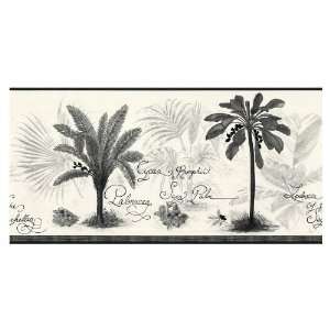   Black And White Palm Tree Wallpaper Border LW1341290