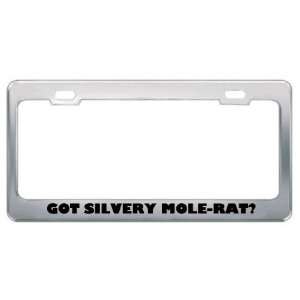 Got Silvery Mole Rat? Animals Pets Metal License Plate Frame Holder 