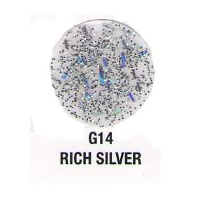  Verity Rich Silver G14 Nail Polish