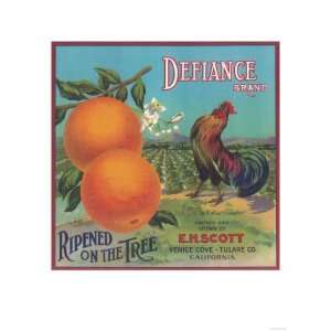  Defiance Orange Label   Venice Cove, CA Giclee Poster 