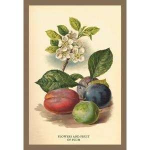  Vintage Art Flowers and Fruit of a Plum   17625 3