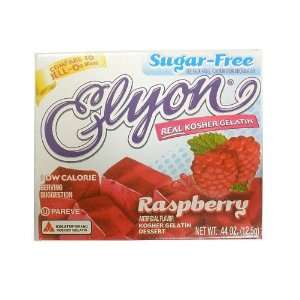 Elyon Sugar Free Raspberry Gelatin Dessert By Elyon Products Case of 