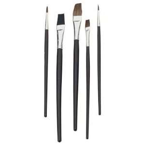 5 Pc. Artist Paint Brush Set