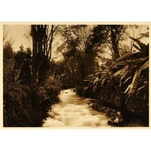  1925 River Rapids Uruapan Mexico Brehme Photogravure 