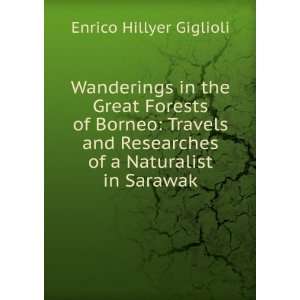   Researches of a Naturalist in Sarawak Enrico Hillyer Giglioli Books