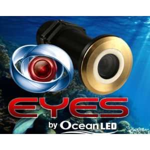   OceanLED Eyes Thru Hull Underwater Ocean Camera