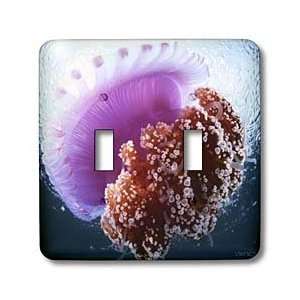 VWPics Oceans   Jellyfish, Cebu, Phillipines   Light Switch Covers 
