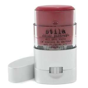 Exclusive By Stila Color Push Ups All Over Color   # 06 Rose Flash 8g 