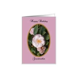  grandmother birthday, Camellias Card Health & Personal 