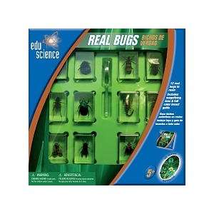  Edu Science 12 piece Insect Collection Toys & Games