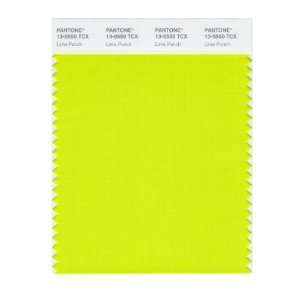  PANTONE SMART 13 0550X Color Swatch Card, Lime Punch