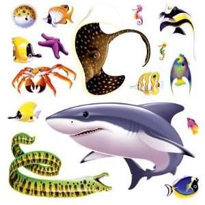  Marine Life Props Case Pack 48