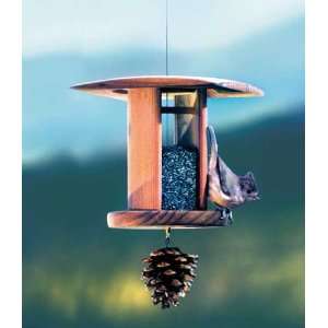 Schrodt Songbird Lantern Nyger Bird Feeder, Goldfinches, Redpoles, and 