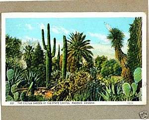 1938 PHOENIX, AZ CACTUS GARDEN AT STATE CAPITOL  