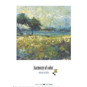  Joshua Bradley Harmony of Color I 19x27 Poster Print