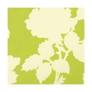   Bailey Garden District Canvas 59 100% Cotton D/R Novelty Rose/Green