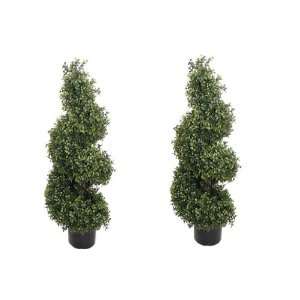   Silk Boxwood wide Spiral Topiary Trees In Pot
