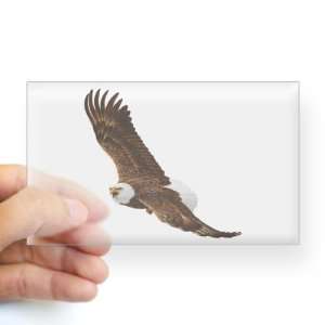    Sticker Clear (Rectangle) Bald Eagle Flying 