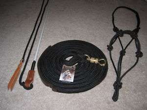 HORSE HALTE+LEAD+STICK,FITS PARELLI &OTHER TRIN METH BW  