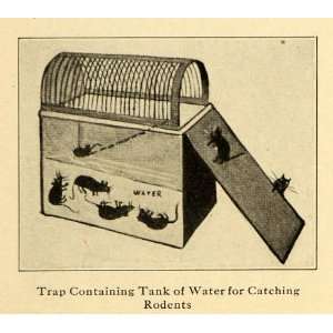  1920 Print Drowning Rats Traps Rodents Catch Bait Ramp 